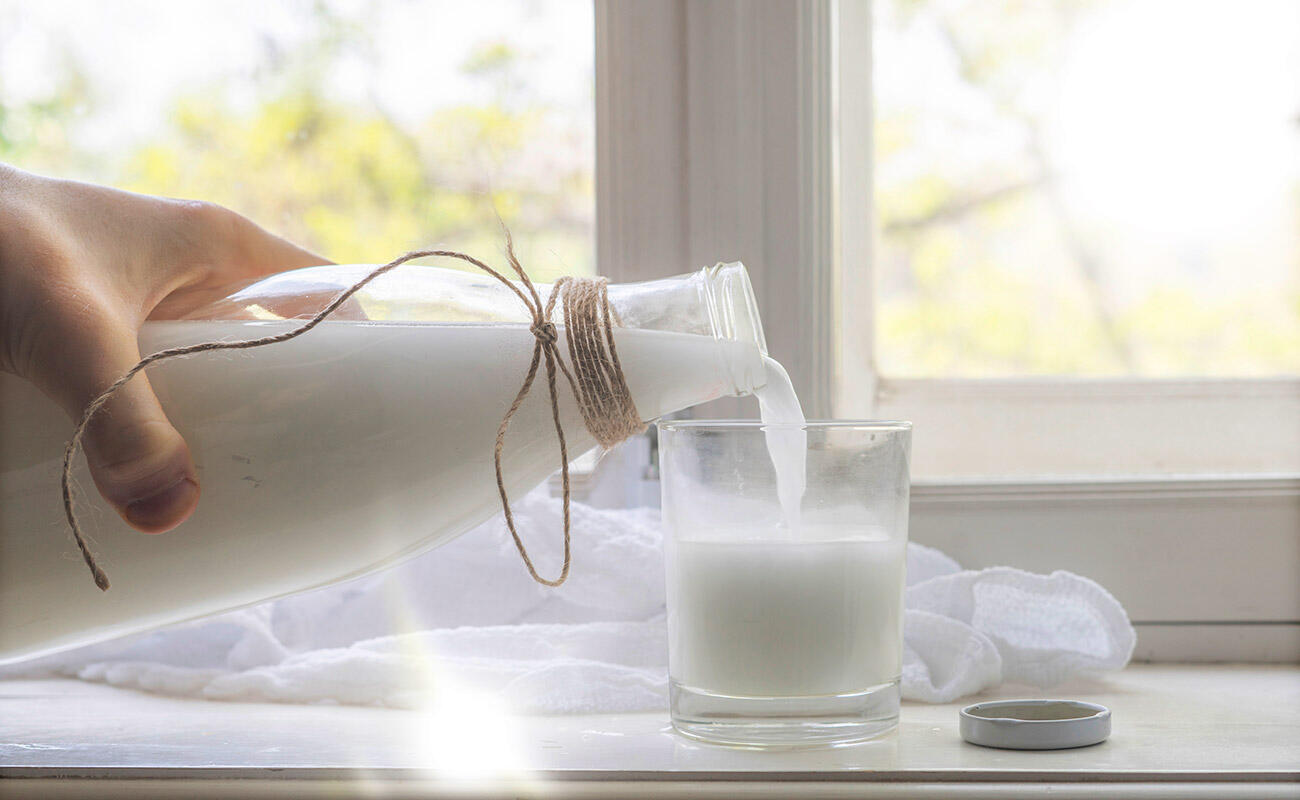 Содержание лактозы в молоке и молочных продуктах